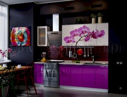 Кухня с фотопечатью Орхидея фиолетовая (Миф)